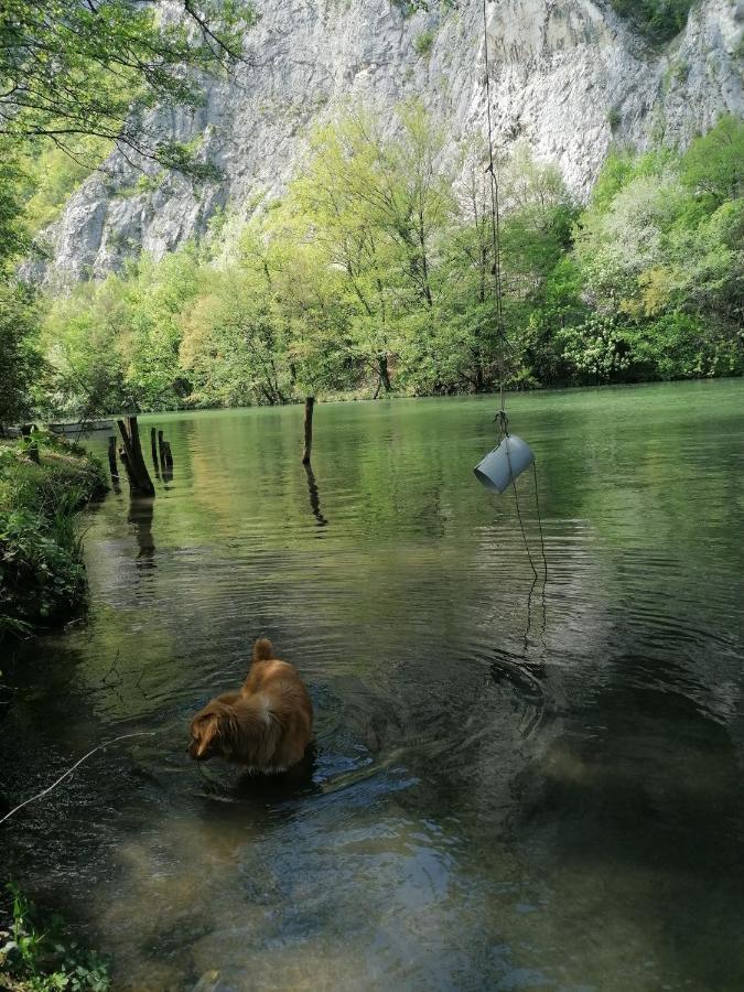 Vikendica,, Tadic,, Ovcar Banja Βίλα Εξωτερικό φωτογραφία